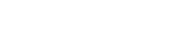 Zscaler White Logo