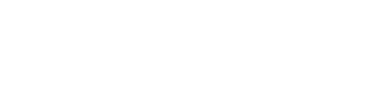 Zscaler White Logo