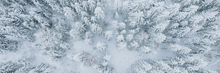 Aerial view of snow-covered forest representing cyber winter and SMB cybersecurity preparation against threats