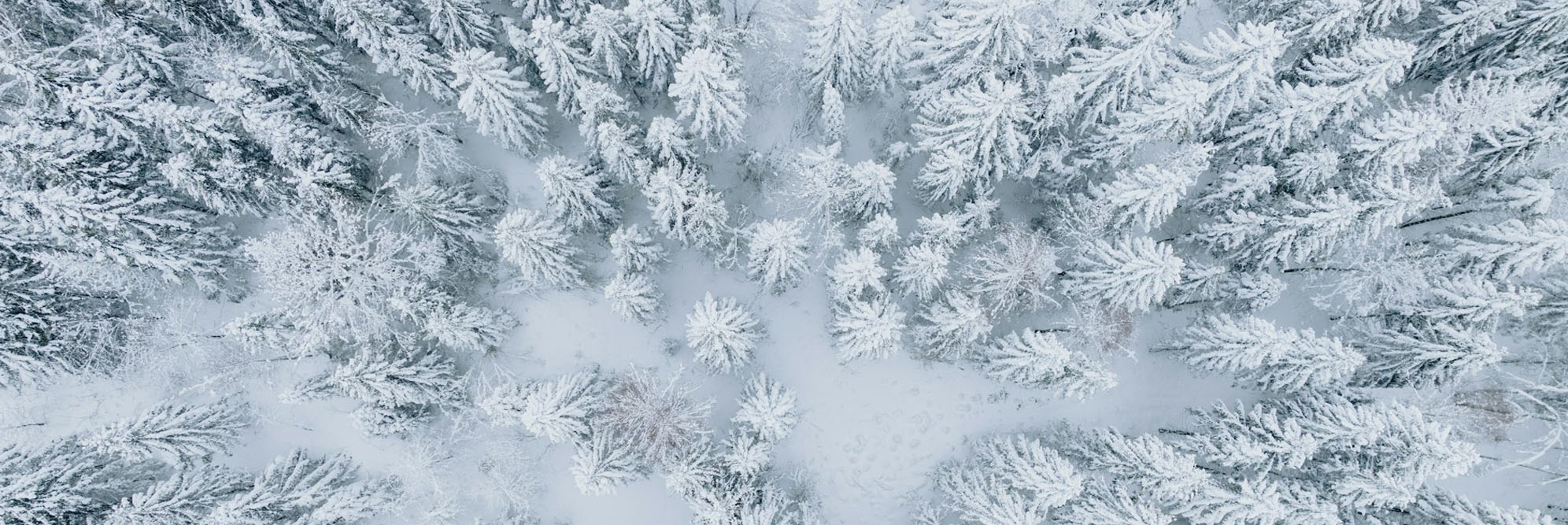 Aerial view of snow-covered forest representing cyber winter and SMB cybersecurity preparation against threats